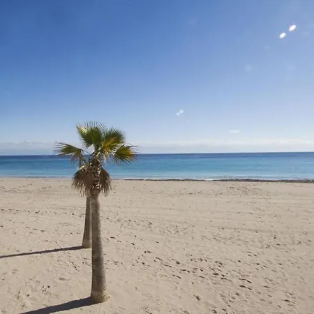 Apartamento Apolo Xvi 1 4 17 Calp